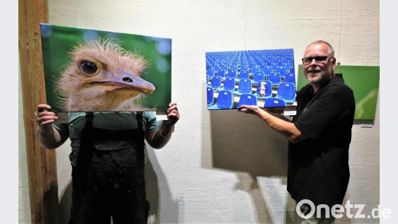 Die beiden Kunsthaus-Mitglieder Werner Müller (links hinter dem Vogel-Strauß-Foto) und Jürgen Klein (rechts) sind beim Bestücken der Ausstellung für kleine Scherze wie mit dem Vogel-Strauß-Foto immer gern bereit. Kunstfreunde dürfen sich freuen, in der Präsentation der Künstler gibt es viel Neues zu sehen, eindrucksvolle Werke werden gezeigt. Bild: ubb