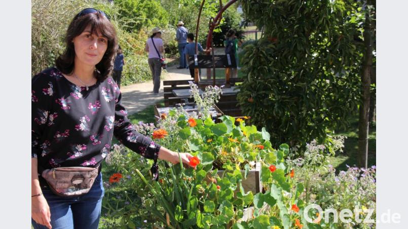 Sandra Scherbl zeigt eine Kapuzinerkresse.im Kloster- und Naturerlebnisgarten. Bild: kro