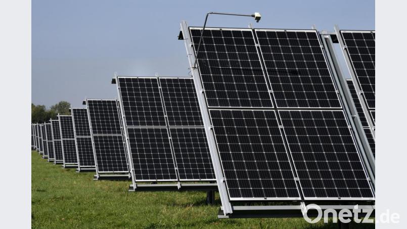 Der Solarpark in Thansüß wird demnächst erweitert. Bild: Petra Hartl