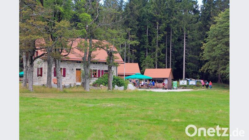 Ein lohnendes Etappenziel. Am Waldhaus bekamen alle Teilnehmer der Jubiläumstour „50 Jahre Naturpark Steinwald“ eine schmackhafte Brotzeit und ein Getränk spendiert. Bild: bsc