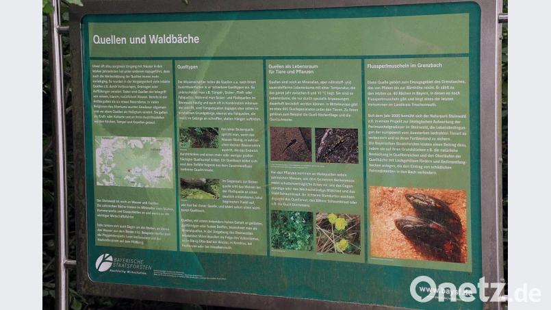 Auch über zukünftige Vorhaben werden die Wanderer auf den Infotafeln entlang des Waldhistorischen Lehrpfads informiert. Die Flussperlmuschel im Grenzbach ist eines davon. Bild: bsc