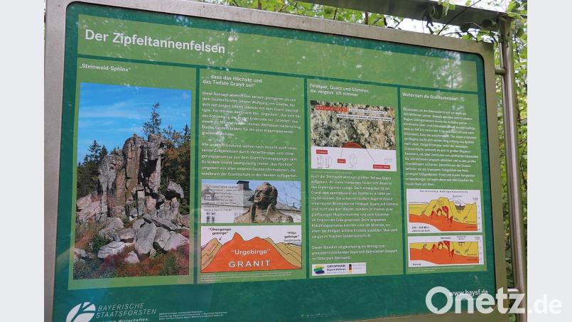 Informative Tafeln entlang des Waldhistorischen Lehrpfads laden dazu ein, den Steinwald nicht nur zu erkunden, sondern auch Wissenswertes mit nach Hause zu nehmen. Bild: bsc