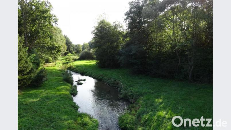Neue Bewertungen haben ergeben, dass sich die Überschwemmungsgebiete beim Ehenbach in Schnaittenbach in Grenzen halten. Bild: e