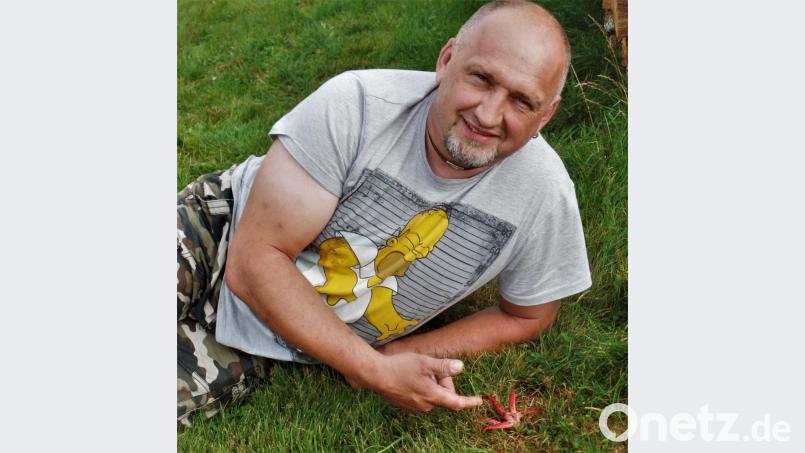 Matthias Zielbauer findet etliche Tintenfischpilze auf seiner Wiese. Deren Sporen sind um die halbe Erde gereist. Bild: jml