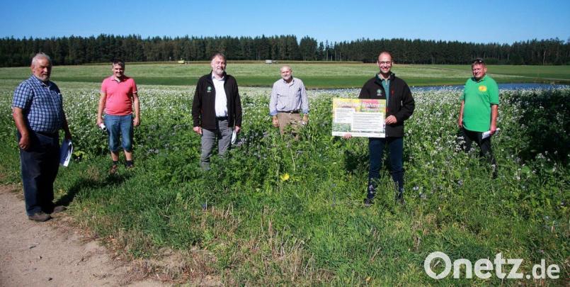 Der sachliche Dialog fand zwischen den Feldern bei Ödwalpersreuth statt. Daran beteiligt waren (von links) Bernhard Adam, Stefan Adam, Ulrich Härtl, Alfons Stock, Ely Eibisch und Klaus Schmidt. Bild: wro