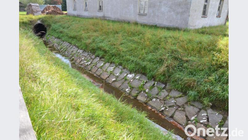 Der Schweitzbach in Hirschau vom Mittlerem Torgartenweg aus: Das Ufer ist gesäumt von getrocknetem Klopapier, im Wasser schwimmen braune Hinterlassenschaften. Anwohner beklagen den Zustand. Bild: roa
