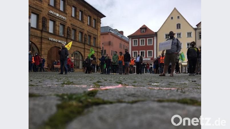 Rund 100 Teilnehmer kamen zur ersten Klima-Demo nach dem Lockdown am Freitag auf den Amberger Marktplatz. Bild: upl