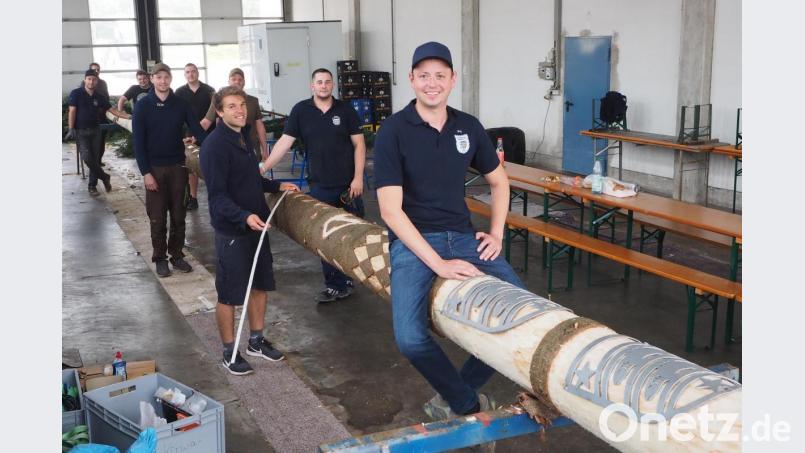 Kirwa trotz Corona: Der Vorsitzende des Pfreimder Kirwavereins, Jörg Irlbacher (vorne) will in Pandemie-Zeiten ein Stück Normalität ins Stadtgeschehen bringen. Dafür steht in diesem Jahr der 26 Meter lange Kirwabaum (mit Spitze 31 Meter), der heute aufgestellt wird. Bild: bl