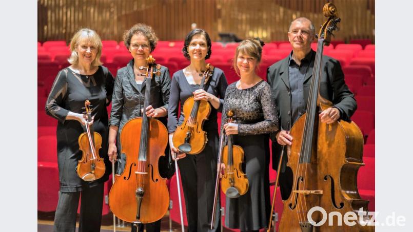 Das Arte Ensemble mit dem Vohenstraußer Ehepaar Albert und Ute Sommer (Zweite von links) spielt zum 32. Rathauskonzert in Vohenstrauß in einer reinen Streicher-Besetzung. Bild: C. G. Riedel/exb