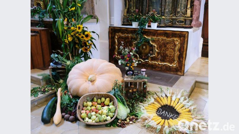 Die Klosterkirche schmückt seit dem Wochenende ein farbenfroher Erntedankaltar. Den Mittelpunkt bildet ein über 200 Kilogramm schwerer Kürbis. Traditionell übernimmt den Aufbau des Altars die Ortsgruppe der Katholischen Landjugend Bild: do