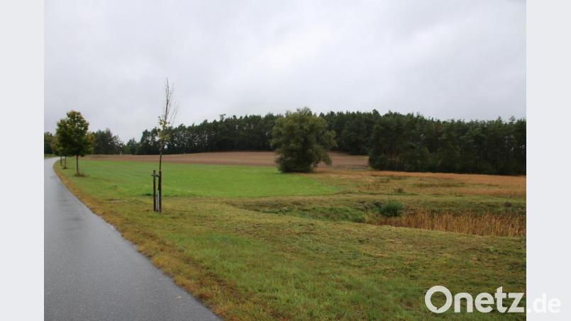 An der Steinfelser Straße sollen 47 Parzellen ausgewiesen werden. Bild: sne