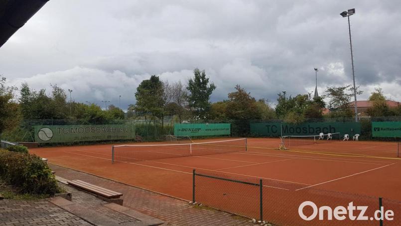 Auslichten will der Tennisclub den Wildbewuchs von Bäumen und Sträuchern rund um das Tennisgelände. Wird ein Ball über den Zaun gespielt, wird er kaum mehr gefunden. Bild: gi