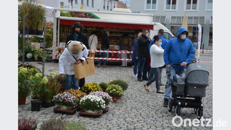 Maskenpflicht herrschte am Sonntag auf dem Michaelimarkt in Mitterteich. Bild: jr