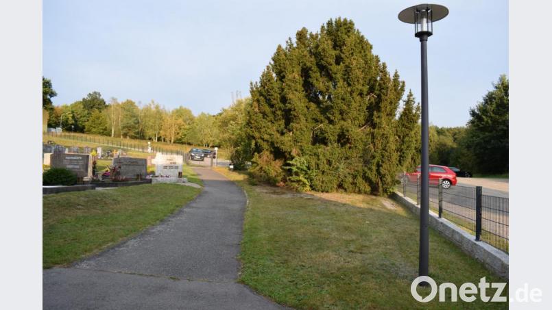 Auf dem freien Platz hinter dem Leichenhaus sollen künftig Baumbestattungen möglich werden. Die Baumgruppe wird entfernt und durch zwei neue Bäume ersetzt. . Bild: bnr