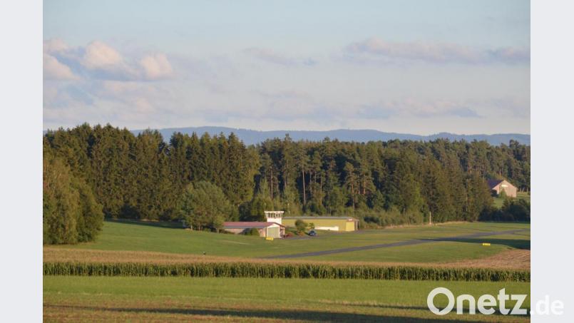 Der Großteil der städtischen Waldungen liegt hinter dem Flugplatz im Gebiet Schweißlohe. Bild: Benkhardt