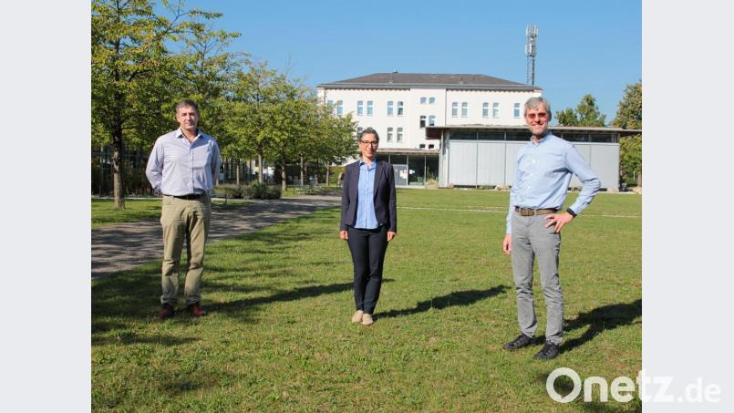 Professor Werner Prell (links) und Professor Wolfgang Schindler begrüßen die neue Kollegin Johanna Stoussavljewitsch. Bild: OTH Amberg-Weiden