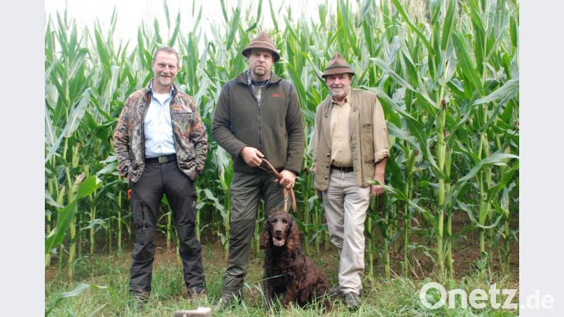 Jagdpächter Rainer Bayer (Mitte) mit seinen Kollegen Herbert Tretter (links) und Bruno Ponnath (rechts). Bild: cvl