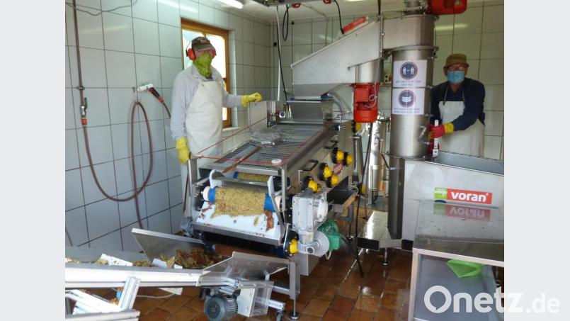 Die Mosterei des Obst- und Gartenbauvereins Oberviechtach läuft auch während der Corona-Pandemie. Im geräumigen Vereinsheim sind die geforderten Hygienevorschriften für Personal und Kunden leicht einzuhalten. Bild: Portner