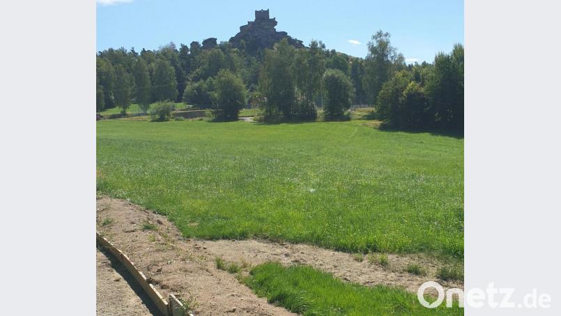 Die Aussicht auf die Burgruine Flossenbürg ist zwar schön, aber der Weg mit dem Fahrrad doch ziemlich anstrengend. Bild: msh