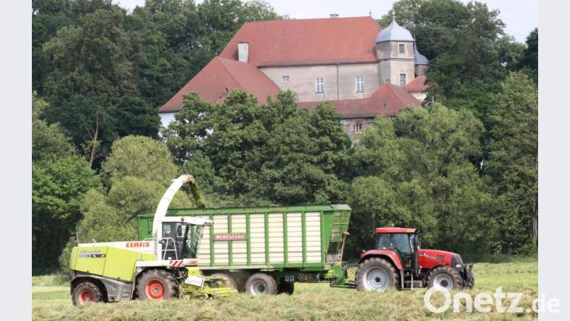 Die Landwirte im Landkreis haben heuer „eine durchschnittlich bis gute Ernte“ eingefahren, wie der Bayerische Bauernverband mitteilt. Bild: Hirsch