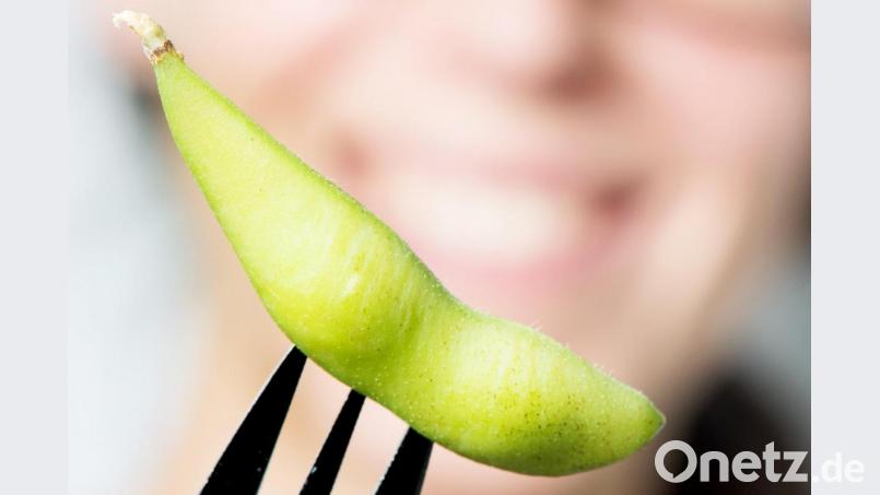 Junge Sojabohnen, Edamame genannt, lassen sich schnell und unkompliziert als Snack zubereiten. Bild: Franziska Gabbert