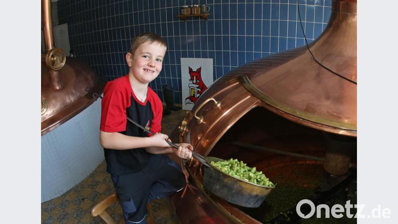 Juniorchef Luis packt schon kräftig mit an im Sudhaus: Erstmals darf er den frischen Holledauer Hopfen in den Fuchsbeck-Sudkessel schütten. Bild: bmr