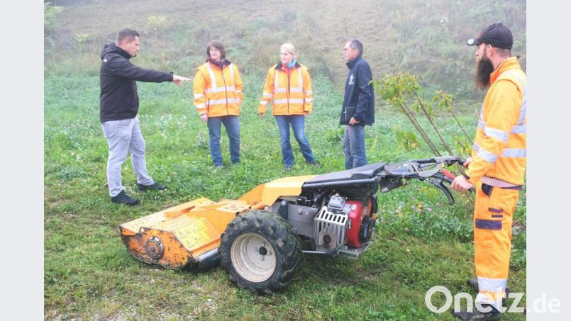 Bei einem Ortstermin diskutieren Bürgermeister Marcus Gradl (links) und Hans Rupprecht (Zweiter von rechts), der Vorsitzende des Obst- und Gartenbauvereins mit dem Bauhofpersonal über Möglichkeiten, die öffentliche Freifläche in der Kirchenthumbacher Straße auf Höhe der Einfahrt zur Oberen Zinkenbaumstraße gestalterisch aufzuwerten. Bild: do
