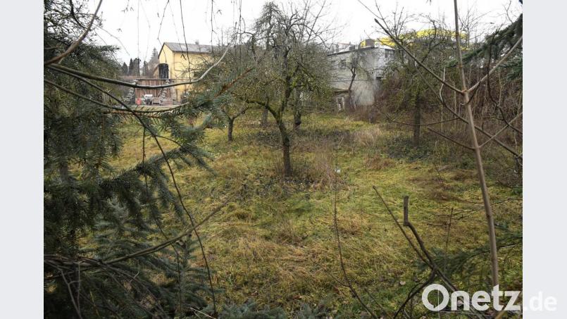 Auf dem Gelände des ehemaligen Bauernhofs an der Nordgaustraße will ein Investor eine Wohnanlage errichten. Bild: Petra Hartl