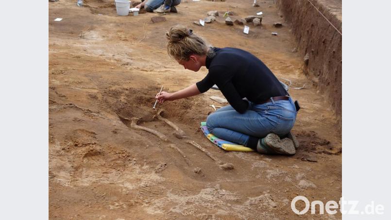 Zum mittlerweile zehnten Mal haben bei Iffelsdorf archäologische Ausgrabungen stattgefunden. Zum Vorschein kam beispielsweise auch ein Skelett aus der Slawenzeit Bild: hm