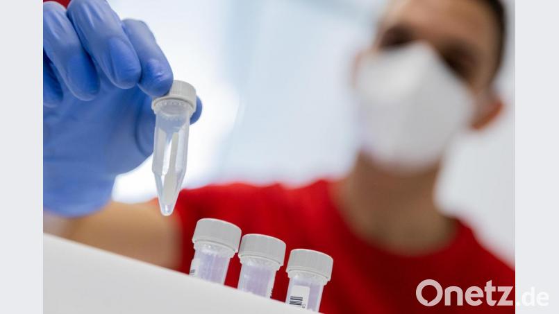 Die Tests haben wieder mehrere Corona-Fälle bestätigt. Sechs Schulklassen befinden sich in Quarantäne. Symbolbild: Rolf Vennenbernd/dpa