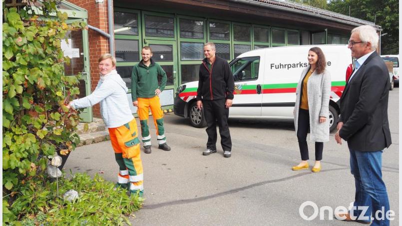 Auch Traubenernte gehört zur Arbeit der neuen Kollegin Alexandra Feuerer in der
Stadtgärtnerei Weiden. Nach 22 Jahren hat sie ihre erste Festanstellung. Darüber freuen sich mit ihr (von links) Vorarbeiter Fabian Schreffl, Abteilungsleiter Björn Scheffczyk, denk!statt-Betreuerin Silke Pappenberger und Jobcenter-Geschäftsführer Peter Witt. Bild: Bühner
