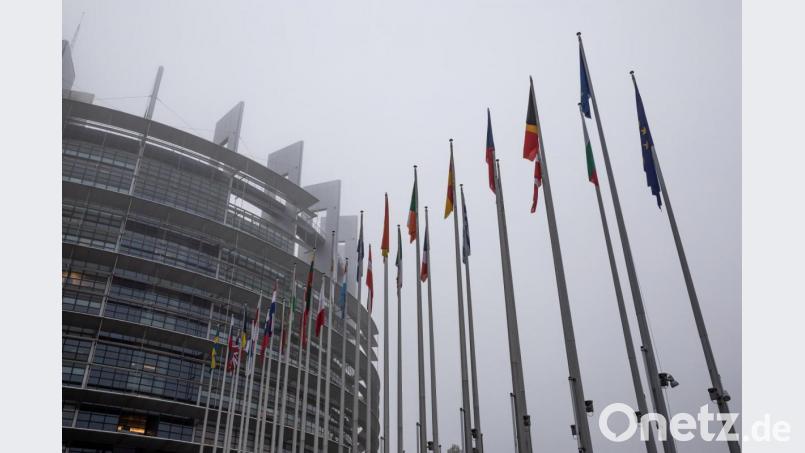 Die Flaggen der Mitgliedstaaten vor dem EU-Parlament in Straßburg. Archivbild: Philipp von Ditfurth
