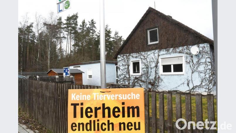 Der erste Schritt in Richtung Tierheimneubau ist getan. Alle 38 Landkreis-Kommunen werden den Finanzierungsvorschlag unterstützten. Bild: Gabi Schönberger