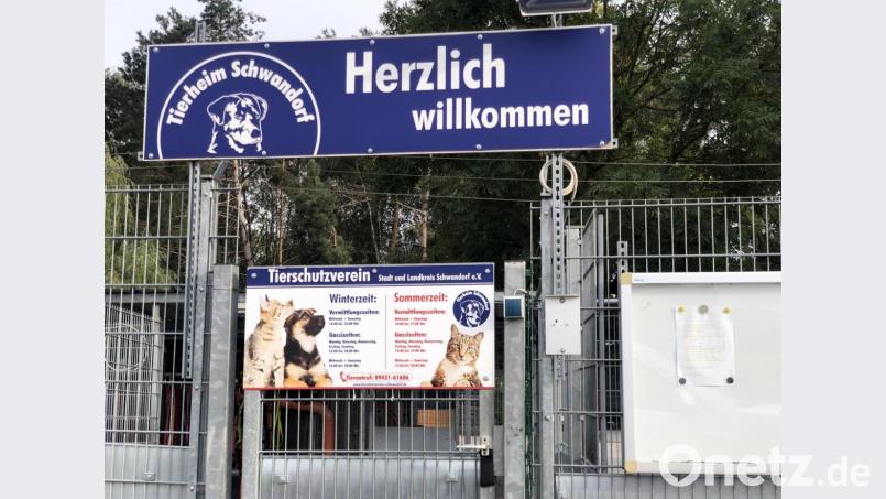 Der Mark Schwarzenfeld wird künftig mehr Geld an den Tierschutzverein Stadt und Landkreis Schwandorf überweisen. Der Verein betreibt das Tierheim in der Kreisstadt. Bild: td