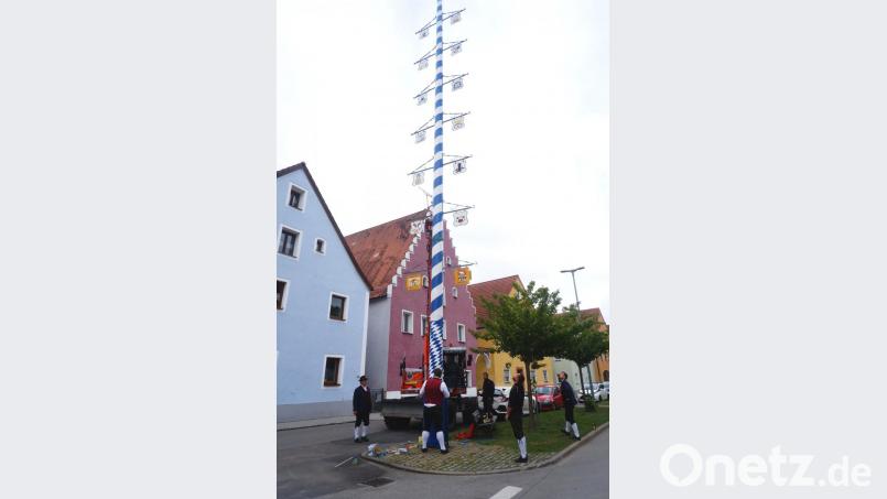 Die Trachtenkapelle Hohenburg hat den Zunftbaum erneuert. Dessen Aufstellen am Marktplatz verzögerte sich Corona-bedingt. Und das im Jahr, in dem die Trachtenkapelle ihr 60-jähriges Bestehen feiern wollte. Bild: bö