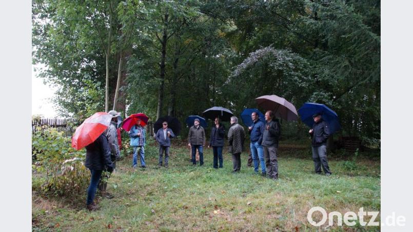 Über die Herausnahme eines Flurstücks beriet der Naturschutzbeirat im Schlosspark Fuchsmühl. Bild: kaz