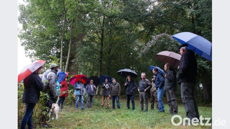 Der Naturschutzbeirat traf sich zum Ortstermin im Fuchsmühler Schlosspark. Mit dabei Bürgermeister Wolfgang Braun (Fünfter von rechts). Bild: kaz