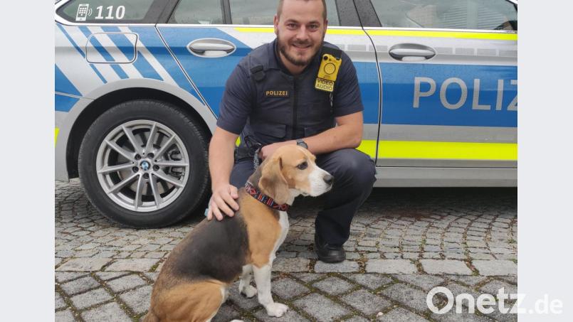 Polizeimeister Tim Haider mit dem Fast-Food-Hund. Bild: Polizei Amberg