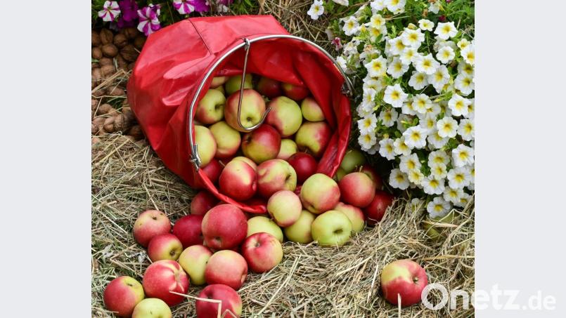 Ein Korb voller Äpfel: Aus dem Obst lässt sich wunderbar Saft pressen - in Haselbrunn in diesem Jahr allerdings nicht. Symbolbild: Patrick Pleul/dpa