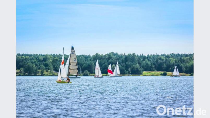 Urlaubsstimmung wie am Balaton herrscht am Steinberger See. Bild: Tourismuszentrum Oberpfälzer Wald - Thomas Kujat