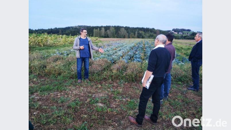 Interessierte Landwirte auf dem Gemüsefeld von Johann Kahl in Botzersreuth bei Püchersreuth. Bild: exb