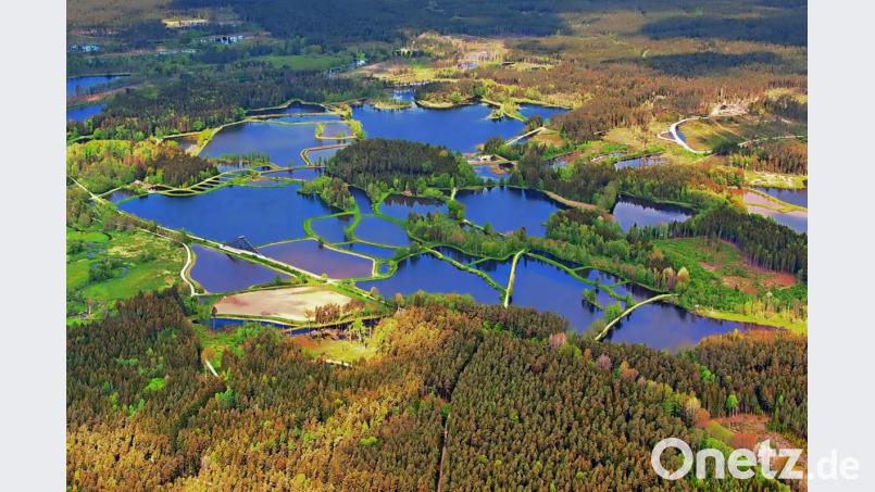 Erinnert an Finnland: die Tirschenreuther Teichplatte. Bild: Thomas Sporrer
