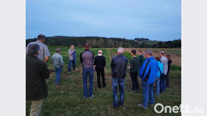 Teilnehmer auf dem Gemüsefeld der Familie Kahl. Erster gemeinsamer Bio-Bauernstammtisch der Öko-Modellregionen:
Wie funktioniert der Anbau von Bio-Gemüse in der nördlichen Oberpfalz? Bild: exb