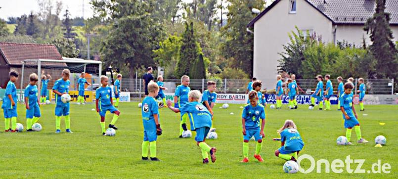 Exakt 239 Kinder und Jugendliche betätigen sich beim Sportclub aktiv in verschiedenen Abteilungen. Der Förderverein unterstützt dieses sportliche Engagement jährlich mit rund 3000 Euro. Bild: ü