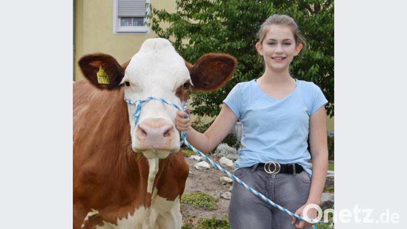 Als Chiara, die Tochter von Betriebsleiter Hubert Herr, geboren wurde, war Kuh „Lisi“ bereits als Jungrind im Stall unterwegs. Bild: Rudolf Traxinger/exb