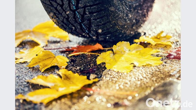Mit Winterreifen ist man auch auf rutschigem Herbstlaub sicherer unterwegs. Bild: Roman Maerzinger - stock.adobe.com