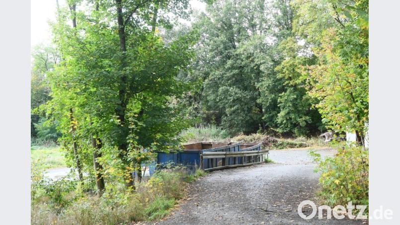Ein Biotop aus Bäumen und Sträuchern umgibt die Grüngutdeponie in Altenstadt, deren Grund der Stadt Neustadt gehört. Bild: Gabi Schönberger