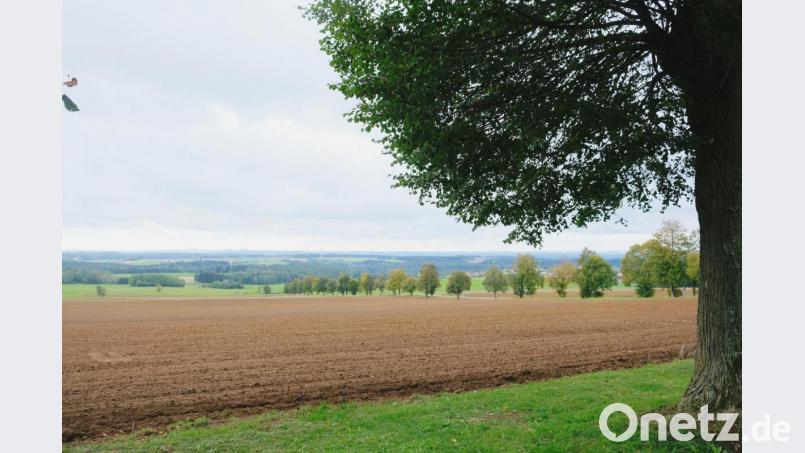 Unterschiedlich bewerten die Marktgemeinderäte die geplante Freiflächen-Photovoltaikanlage bei Thurndorf. Die Meinungen reichen von einer Abwechslung des Landschaftsbildes bis zu dessen Verschandelung. Die Aufnahme der Kultur- und Naturlandschaft bei Thurndorf entstand auf dem Kalvarienberg. Bild: do