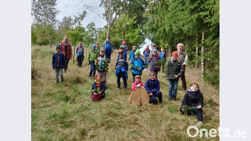 Zusammen mit Förster Wolfgang Bartsch (hinten, rechts) ging es für die Dritt- und Viertklässler der Grundschule Niedermurach zu einer Exkursion in den Wald. Bild: exb