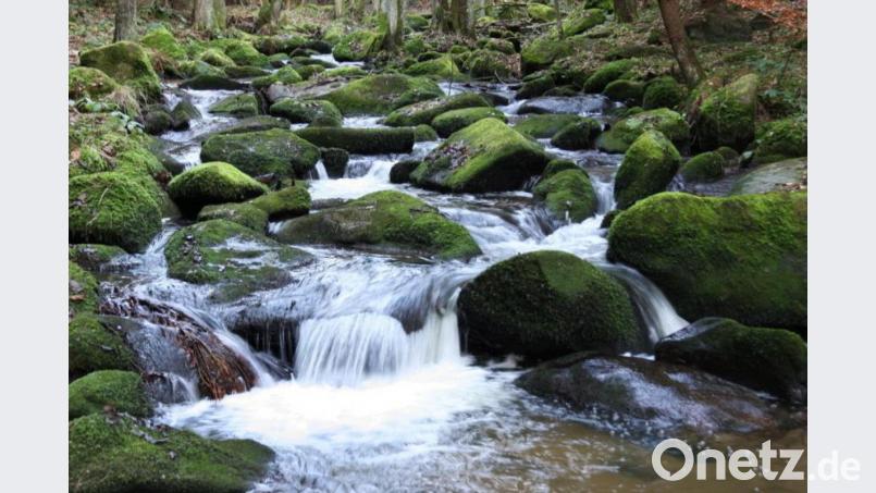 Das Lerautal ist eine der beliebtesten touristischen Destinationen im Landkreis Neustadt. Archivbild: Popp